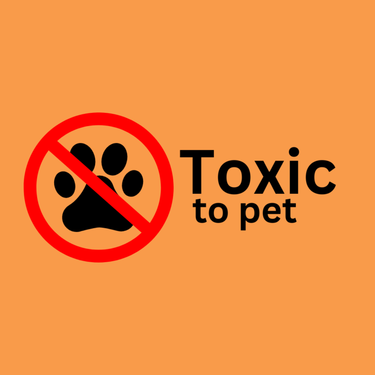 A red 'No' symbol with a pet silhouette and text 'Toxic to Pets' – highlighting common household dangers for dogs and cats.