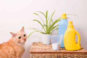 Cat near a toxic cleaning product with a danger label for pet safety.