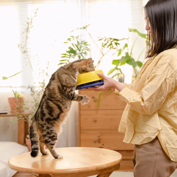 Woman smiling with her happy, well-groomed cat